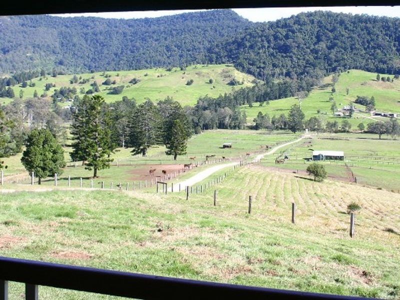 2295 Nerang Murwillimbah Road, Numinbah Valley QLD 4211