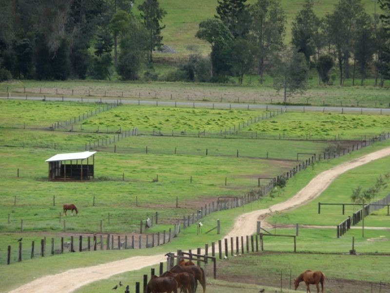 2295 Nerang Murwillimbah Road, Numinbah Valley QLD 4211