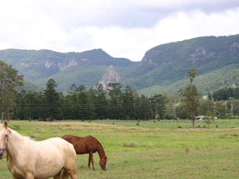 2269 Nerang Murwillimbah Road, Numinbah Valley QLD 4211