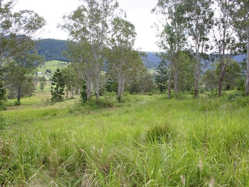 2269 Nerang Murwillimbah Road, Numinbah Valley QLD 4211