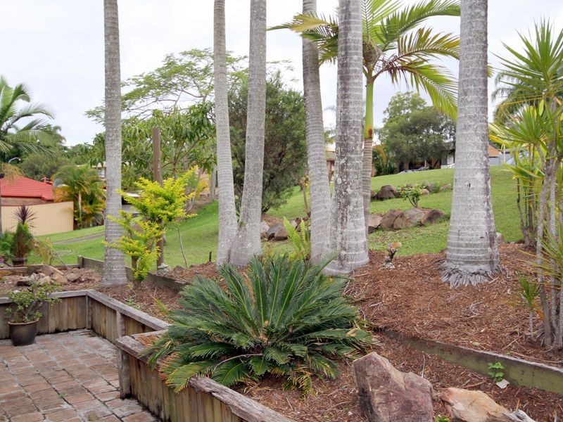 43 Orlando Court, Highland Park QLD 4211