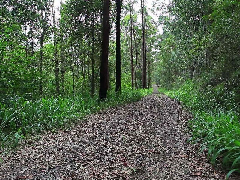 102 Arunta Drive, Mount Nathan QLD 4211