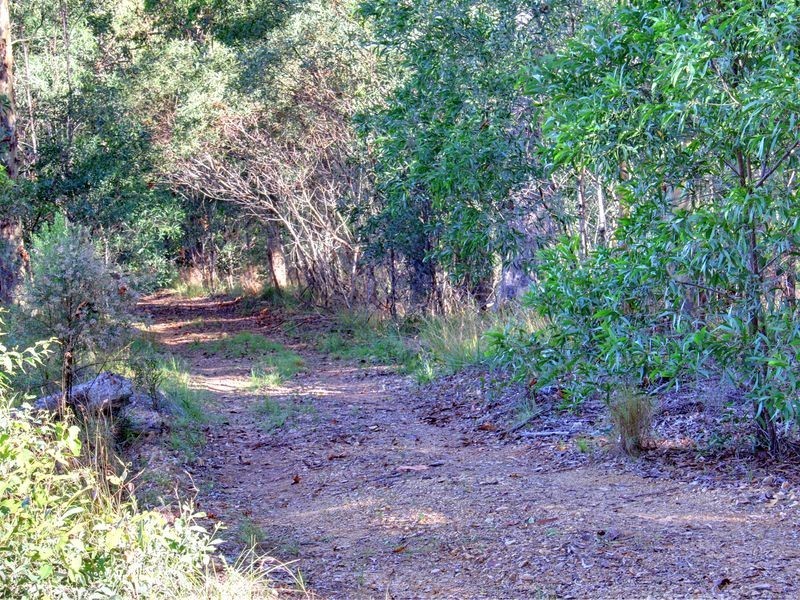102 Arunta Drive, Mount Nathan QLD 4211