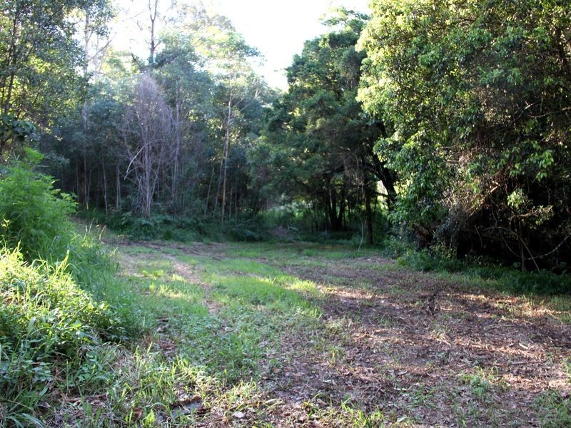 102 Arunta Drive, Mount Nathan QLD 4211