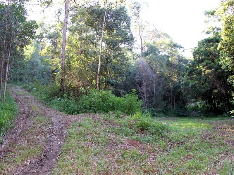 102 Arunta Drive, Mount Nathan QLD 4211