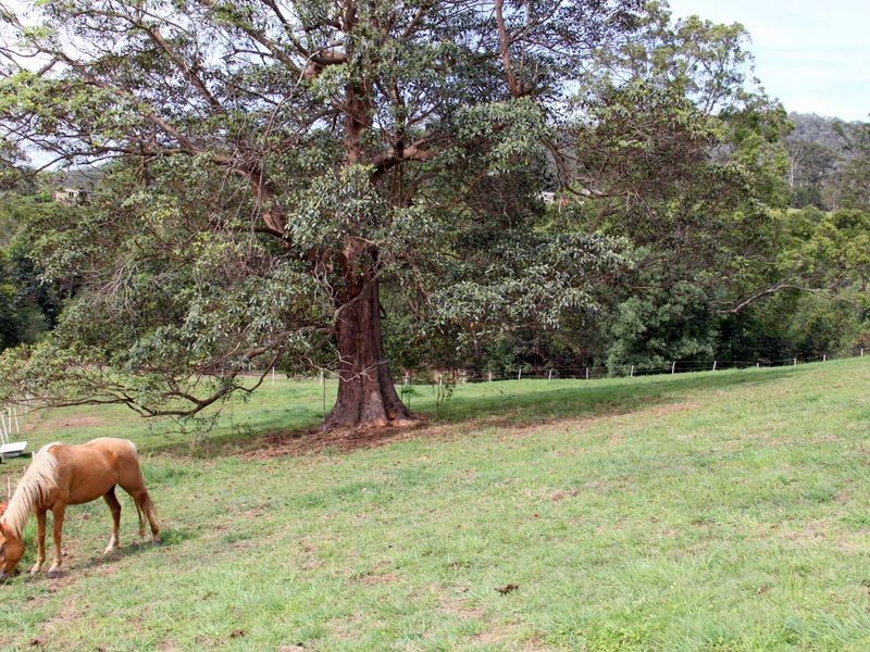 4 Bush Knoll Place, Mount Nathan QLD 4211