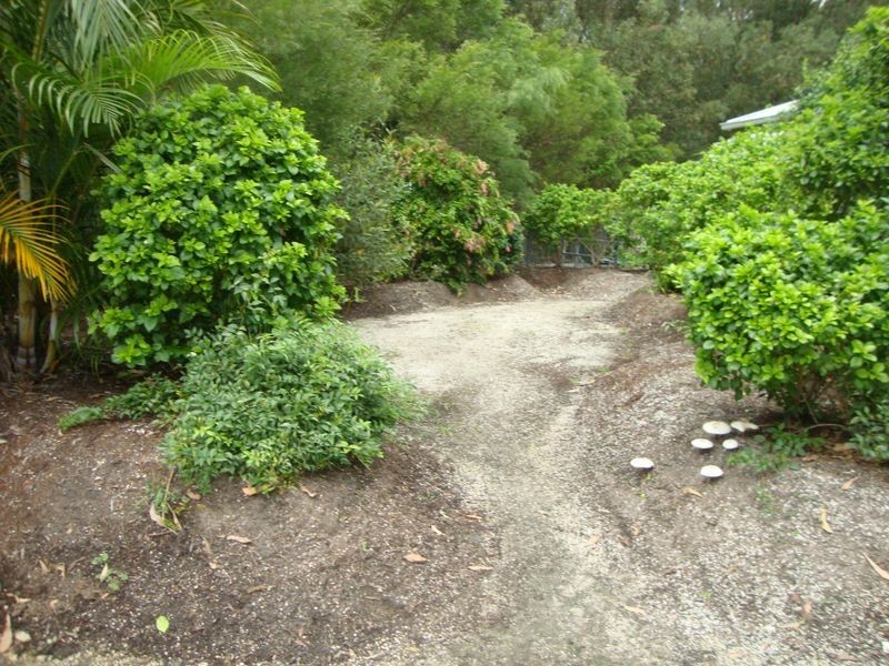 29 Lawnhill Drive, Nerang QLD 4211