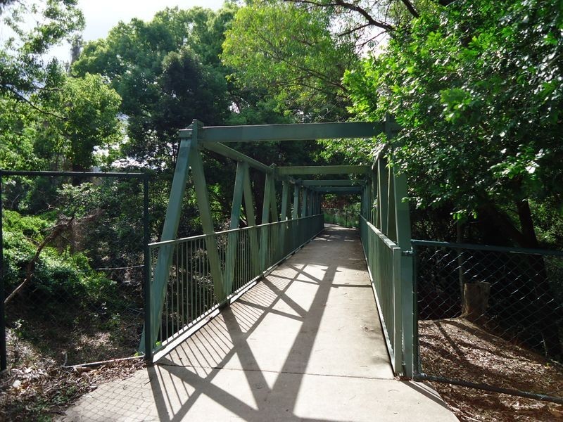 66 Rivergum Drive, Nerang QLD 4211