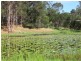 53 Longhill Road, Gilston QLD 4211