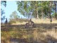 53 Longhill Road, Gilston QLD 4211