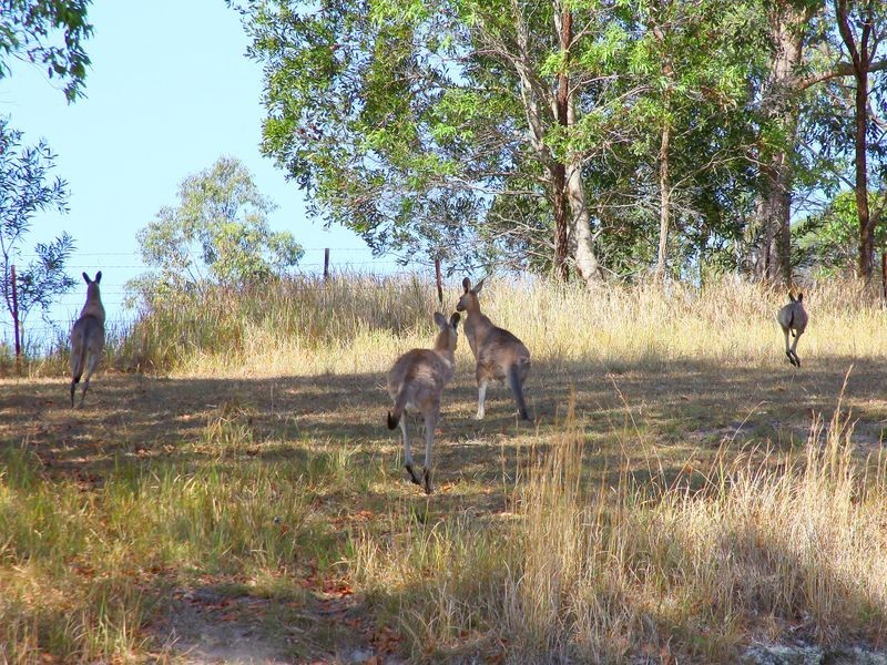 53 Longhill Road, Gilston QLD 4211