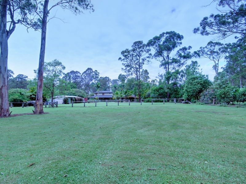 58 Wandin Street, Nerang QLD 4211