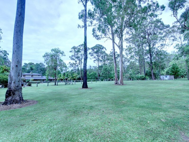 58 Wandin Street, Nerang QLD 4211