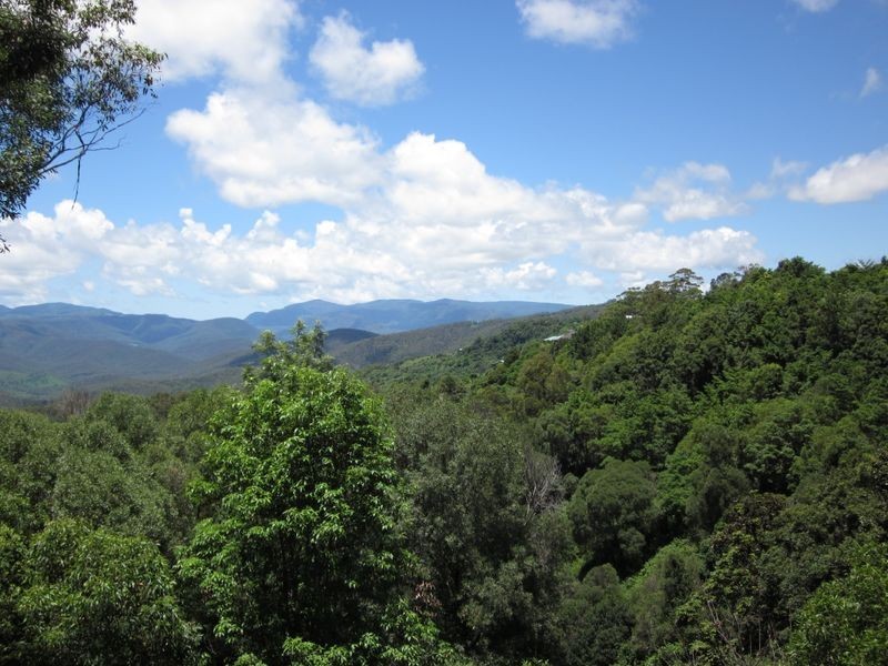 647 Beechmont Road, Lower Beechmont QLD 4211