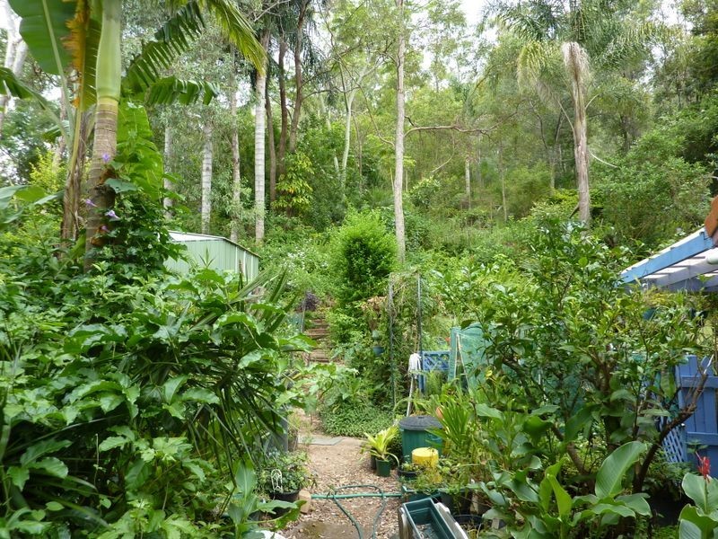 44 Jerome Street, Canungra QLD 4275