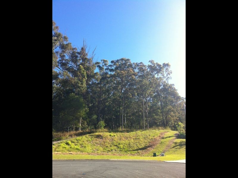 23 Kingsmead Court, Mount Nathan QLD 4211