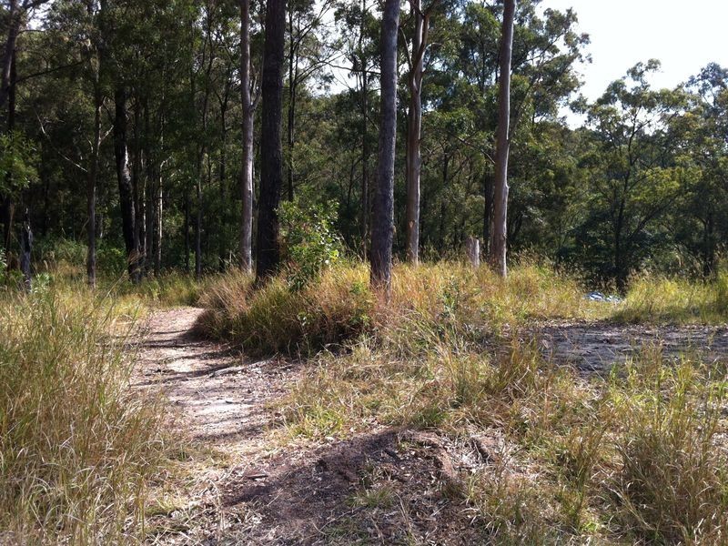 23 Kingsmead Court, Mount Nathan QLD 4211