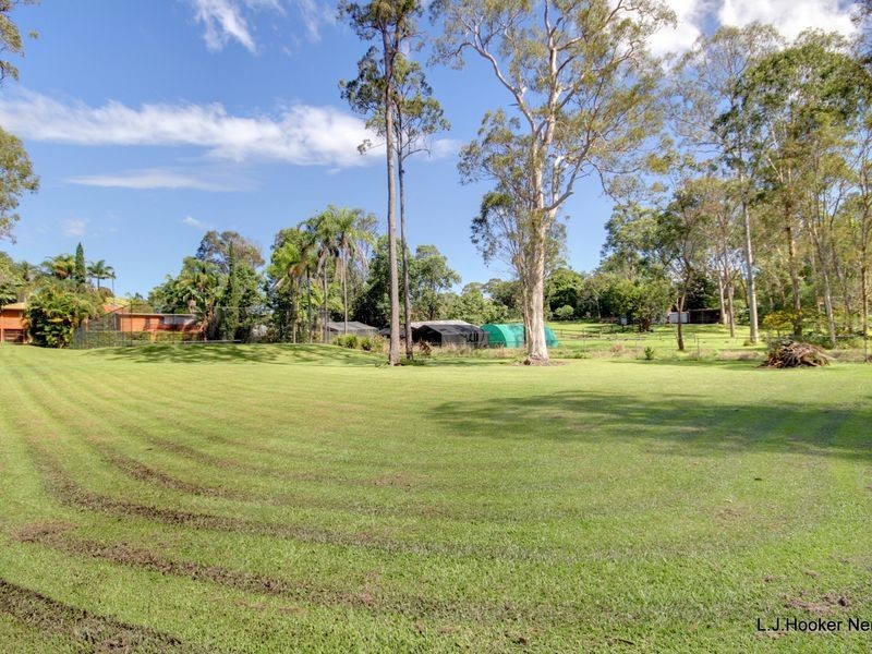 31 Billabirra Crescent, Nerang QLD 4211