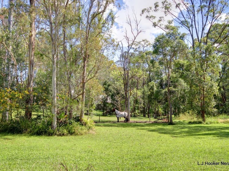 31 Billabirra Crescent, Nerang QLD 4211