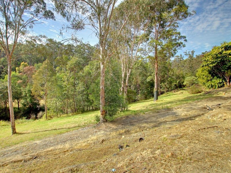 438 Mount Nathan Road, Maudsland QLD 4210