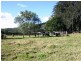 18 Riverglen Court, Mount Nathan QLD 4211