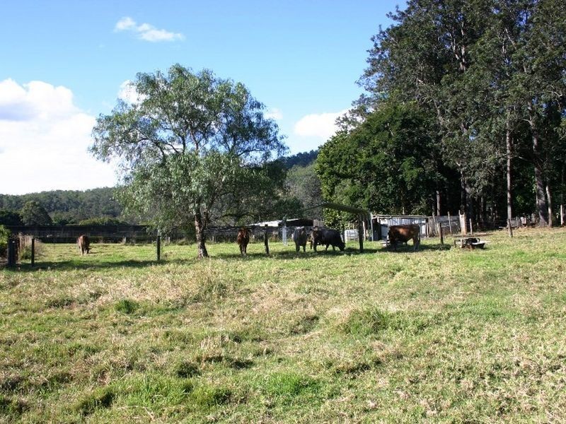 18 Riverglen Court, Mount Nathan QLD 4211