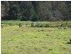 18 Riverglen Court, Mount Nathan QLD 4211