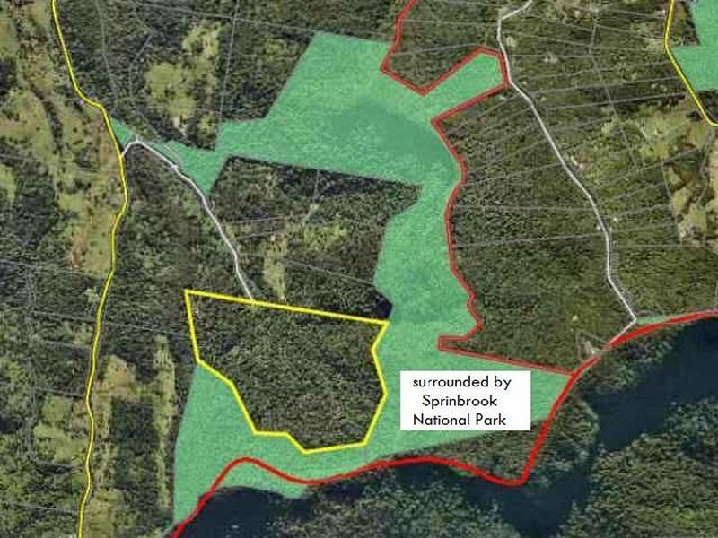 139 Bakers Road, Numinbah Valley QLD 4211