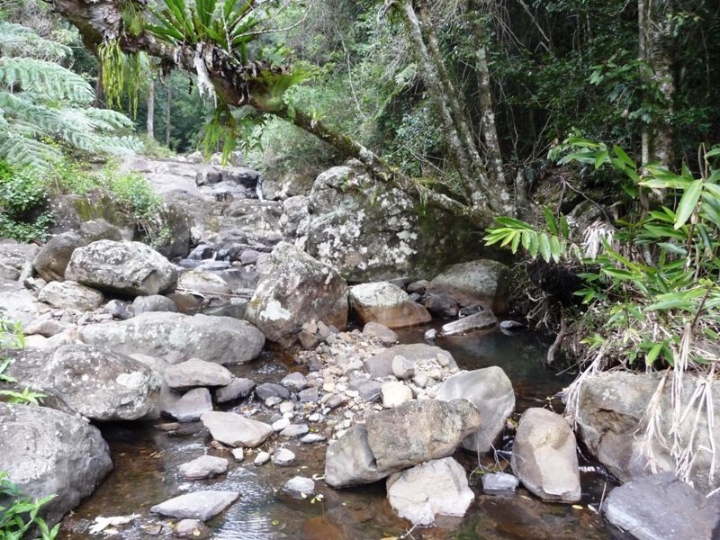 139 Bakers Road, Numinbah Valley QLD 4211