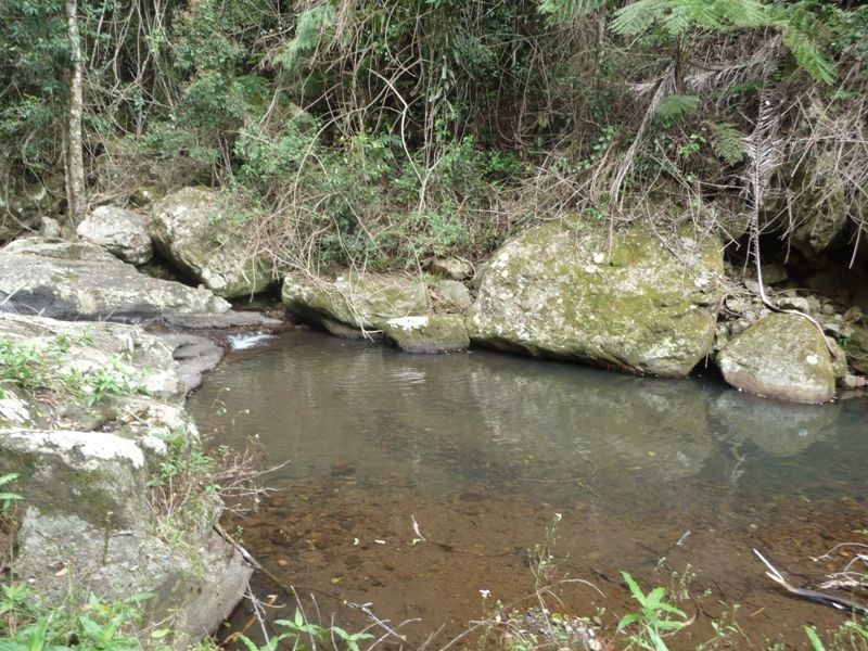 139 Bakers Road, Numinbah Valley QLD 4211