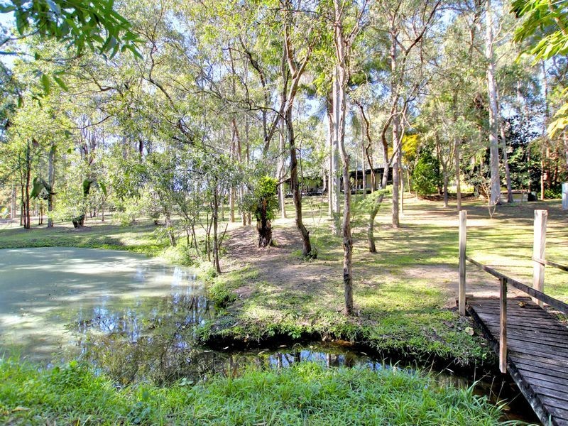 15 Rusa Court, Nerang QLD 4211