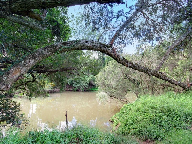 4/8-10 Ogilvie Crescent, Nerang QLD 4211