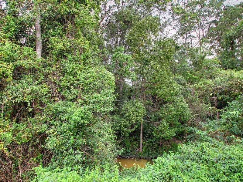 74 Balyando Drive, Nerang QLD 4211