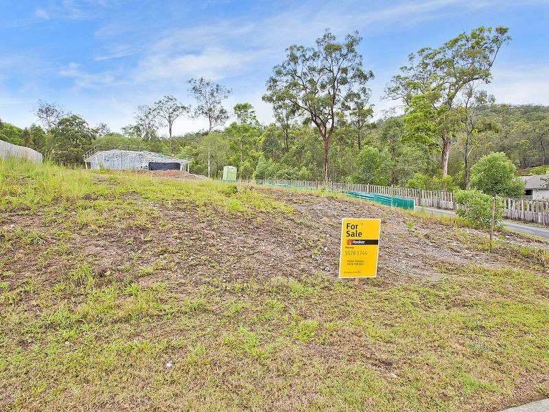 40 Peter Mills Drive, Gilston QLD 4211