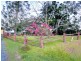 181 Latimers Crossing Road, Advancetown QLD 4211