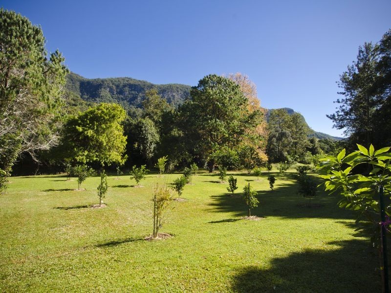 3090 Nerang-Murwillumbah Road, Numinbah Valley QLD 4211