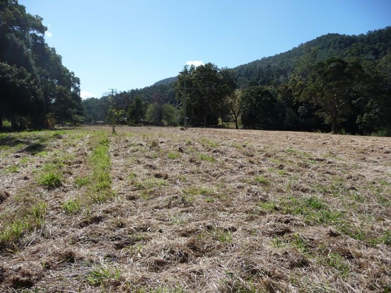 2869 Nerang-Murwillumbah Road, Numinbah Valley QLD 4211