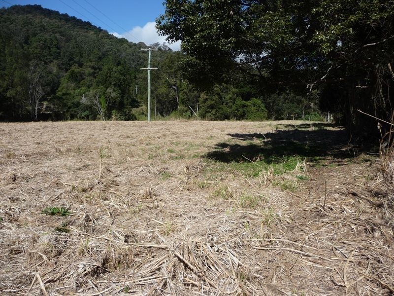 2869 Nerang-Murwillumbah Road, Numinbah Valley QLD 4211