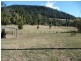 2234 Nerang-Murwillumbah Road, Numinbah Valley QLD 4211