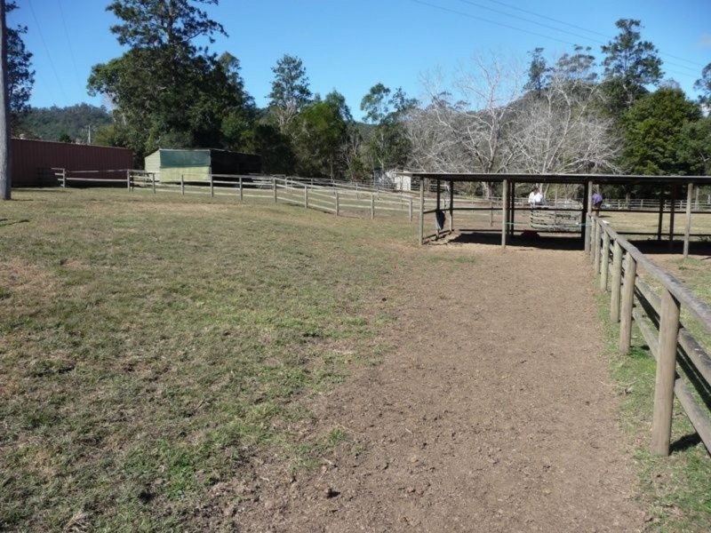 2234 Nerang-Murwillumbah Road, Numinbah Valley QLD 4211