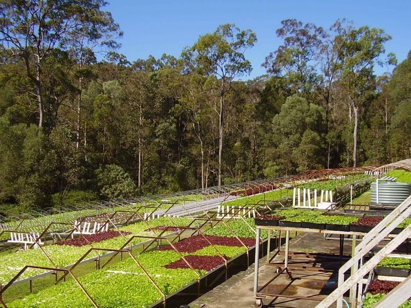 117 Lynwood Drive, Guanaba QLD 4210