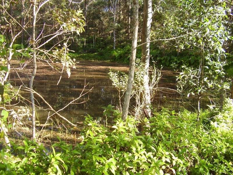 117 Lynwood Drive, Guanaba QLD 4210