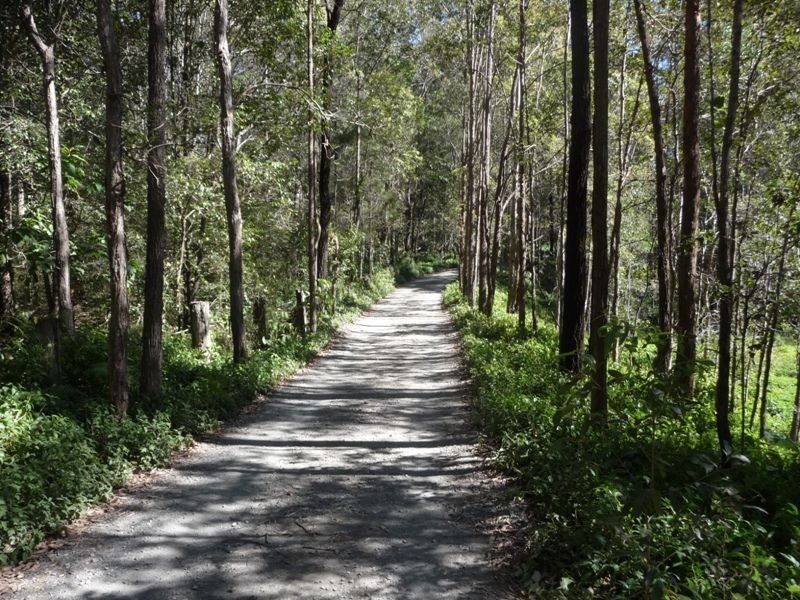 117 Lynwood Drive, Guanaba QLD 4210