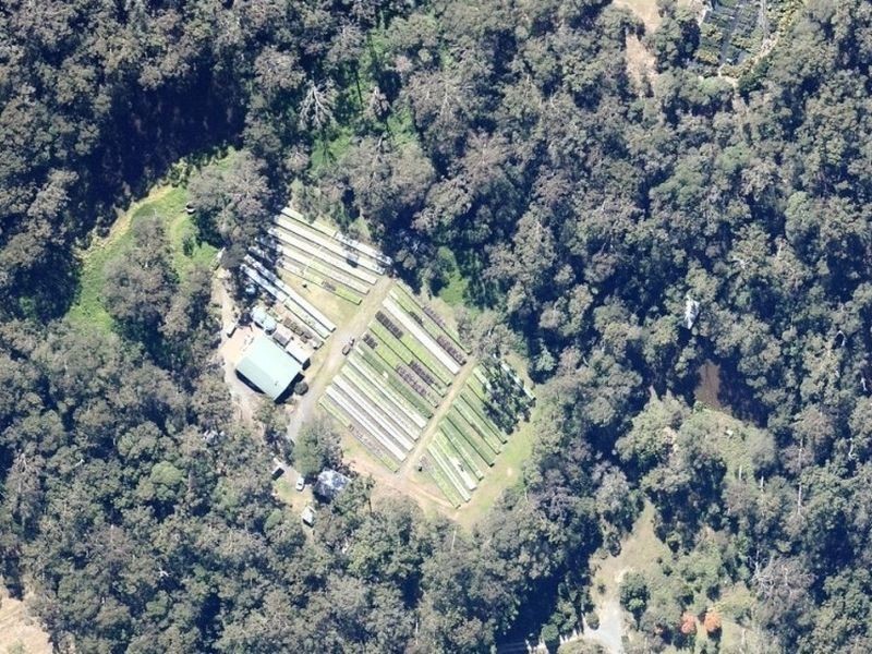 117 Lynwood Drive, Guanaba QLD 4210