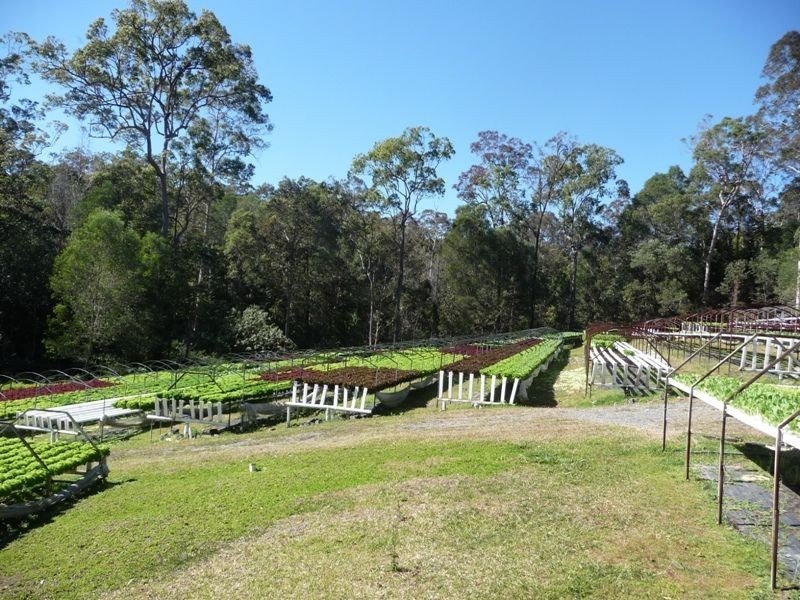 117 Lynwood Drive, Guanaba QLD 4210