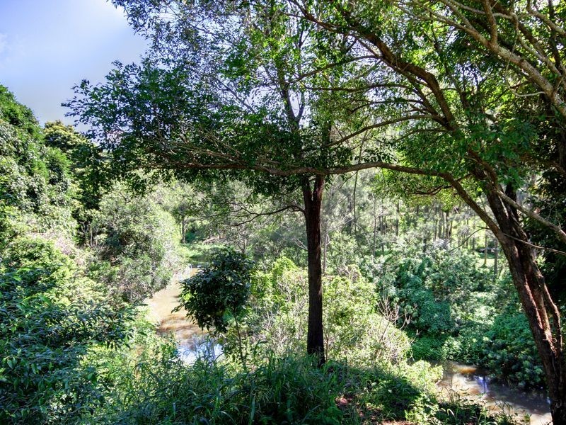 42 Centurion Crescent, Nerang QLD 4211