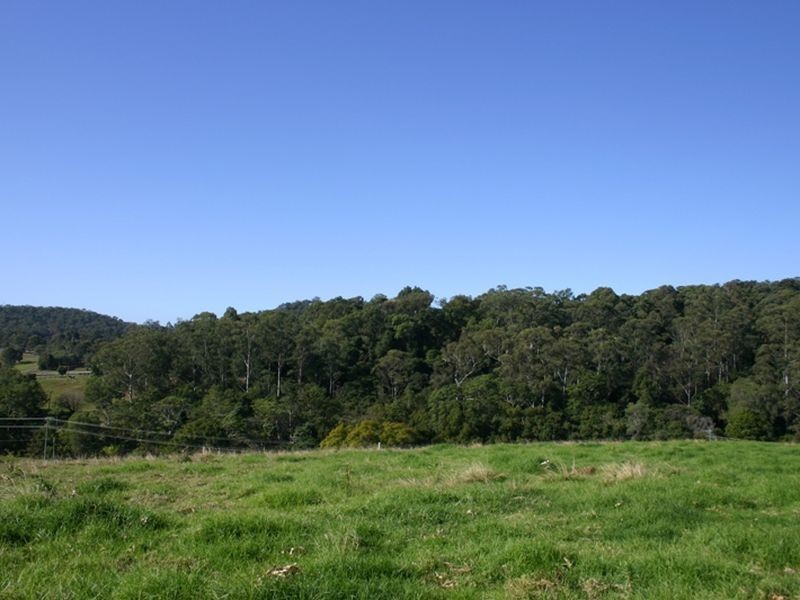 Lot 12 Bardwell Drive, Willow Vale QLD 4209