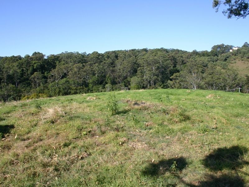 Lot 12 Bardwell Drive, Willow Vale QLD 4209
