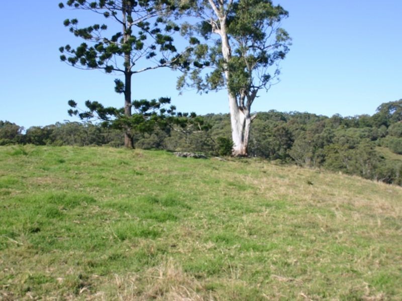 Lot 12 Bardwell Drive, Willow Vale QLD 4209