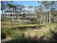 Lot 112 Woodland Drive, Mount Nathan QLD 4211